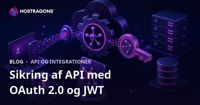 Sikring af API med OAuth 2.0 og JWT