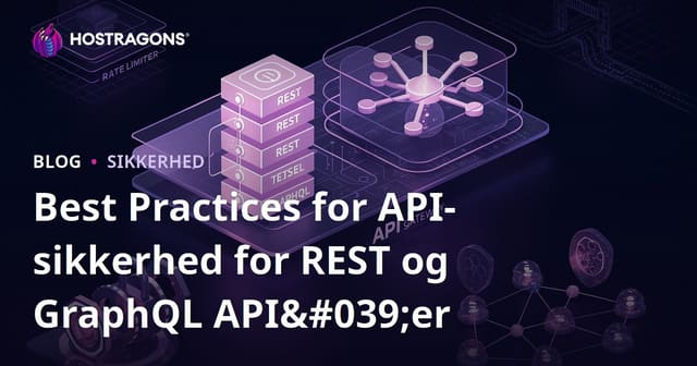 API Sikkerhed: De Bedste Praksis for REST og GraphQL API'er