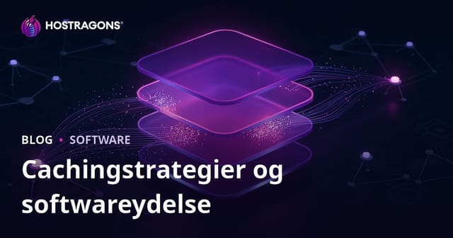Cachingstrategier og softwareydelse