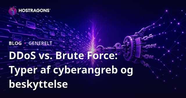 DDoS vs Brute Force: Hvad du skal vide om DoS-angreb og beskyttelse