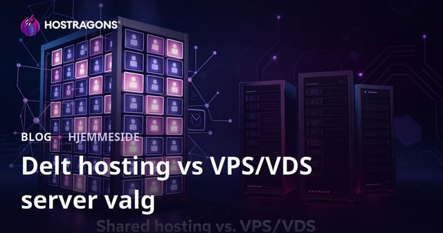 Delhosting vs. VPS/VDS for begyndere: Hvilken løsning skal du vælge?
