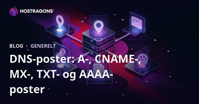 DNS-poster: A-, CNAME-, MX-, TXT- og AAAA-poster