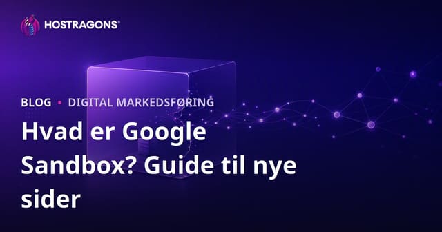 Google Sandbox: Hvad er det, og hvordan slipper nye websites ud af sandkassen?