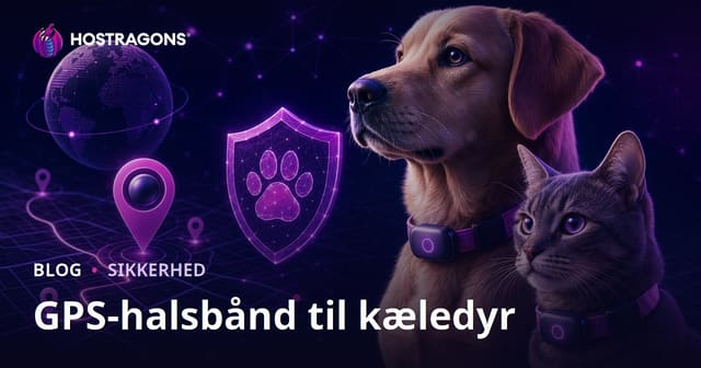 GPS Halsbånd Til Kæledyr: En Dansk Guide Til Sikkerhed, Test og Webhosting
