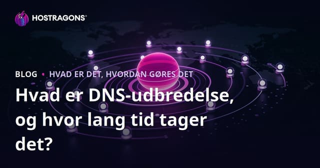 Hvad er DNS-udbredelse, og hvor lang tid tager det?