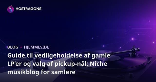 Guide til vedligeholdelse af gamle LP’er og valg af pickup-nål: Niche musikblog for samlere