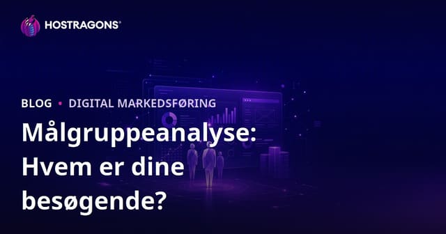Målgruppeanalyse: Hvem besøger dit websted, og hvad ønsker de?