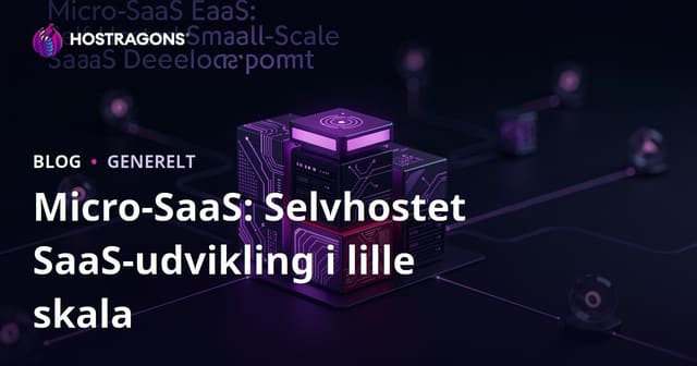 Micro-SaaS: Selvhostet SaaS-udvikling i lille skala
