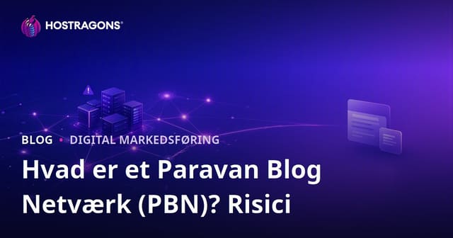 PBN (Privat Blog Netværk) Guide: Risici, Alternativer og SEO Konsekvenser