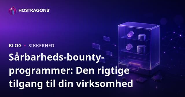 Sårbarhed Belønningsprogrammer: Den Rette Tilgang for Din Virksomhed