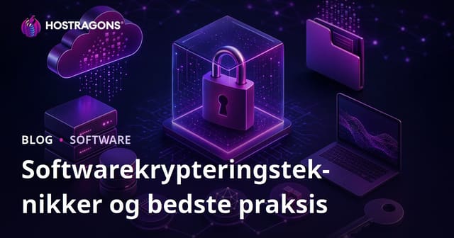 Software Encryption Techniques and Best Practices