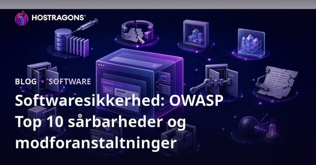 Softwaresikkerhed: OWASP Top 10 sårbarheder og modforanstaltninger