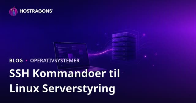 SSH Kommandoer til Linux Serveradministration: Grundlæggende Koder for Webmastere
