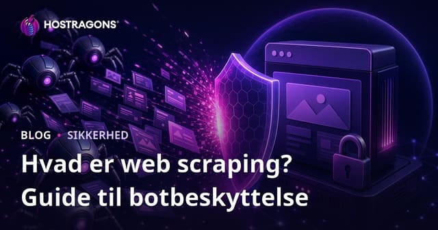 Web Scraping: Sådan Beskytter Du Dit Website mod Datatyveri og Skadelige Bots