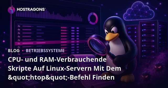 CPU- und RAM-Verbrauchende Skripte Auf Linux-Servern Mit Dem "htop"-Befehl Finden