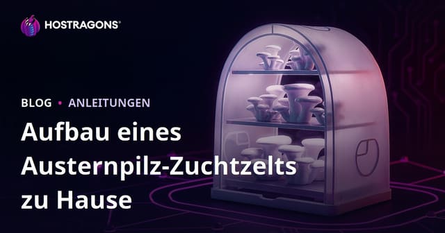 Einrichtung eines Pilzzuchtzeltes für Austernpilze zu Hause: Schritt-für-Schritt-Anleitung