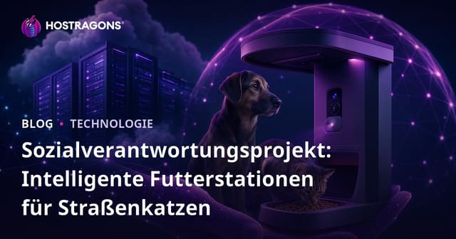 Sozialverantwortungsprojekt: Intelligente Futterstationen für Straßenkatzen