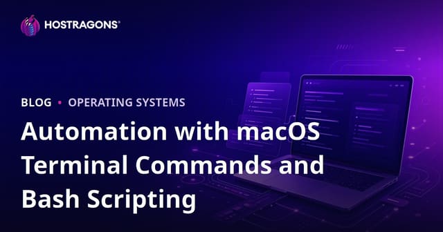 Automation with macOS Terminal Commands and Bash Scripting