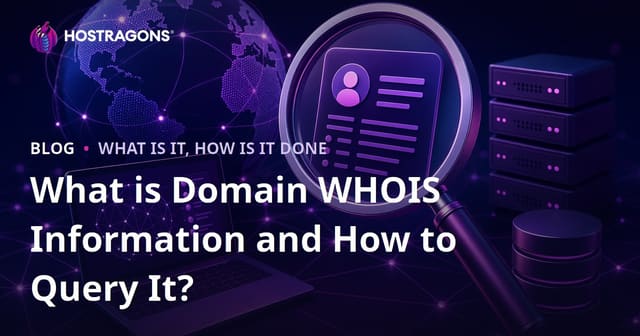 What is Domain WHOIS Information and How to Query It?