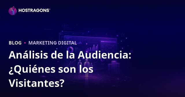 Análisis del público objetivo: ¿quién visita su sitio y qué busca?