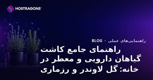 راهنمای جامع کاشت گیاهان دارویی و معطر در خانه: گل لاوندر و رزماری