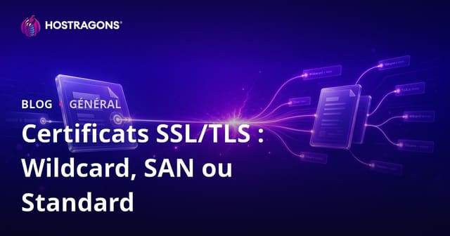 Certificats SSL/TLS : Wildcard, SAN ou Standard