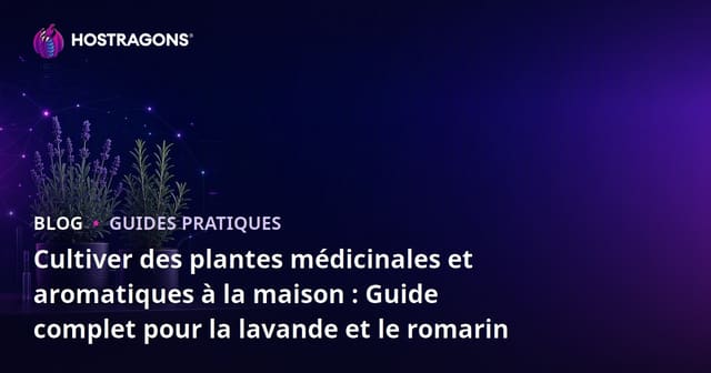 Cultiver des plantes médicinales et aromatiques à la maison : Guide complet pour la lavande et le romarin