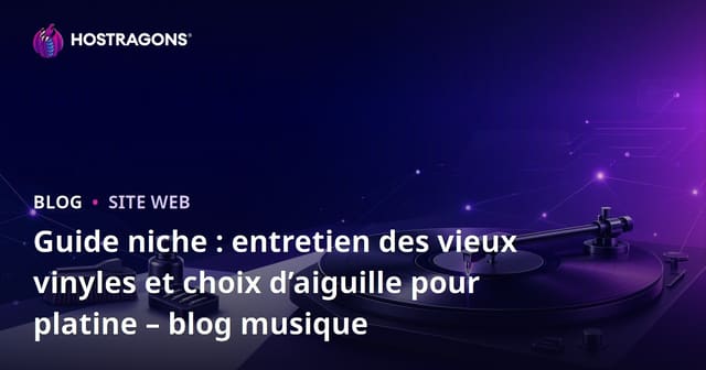 Guide niche : entretien des vieux vinyles et choix d’aiguille pour platine – blog musique
