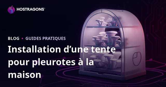 Guide complet : Installer une tente de culture de pleurotes à la maison, étape par étape