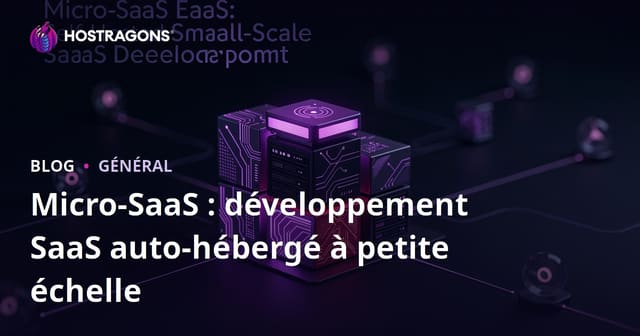 Micro-SaaS : développement SaaS auto-hébergé à petite échelle