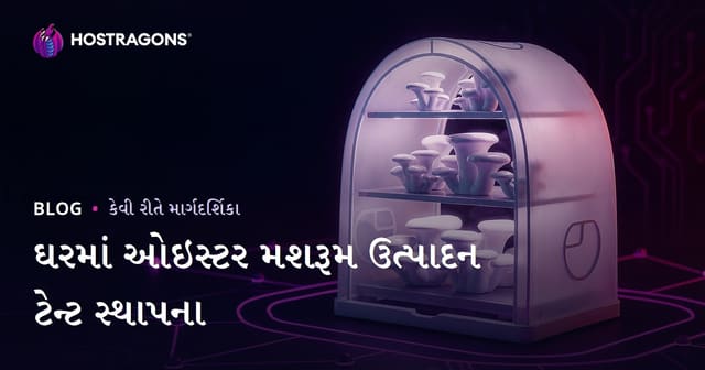 ઘરમાં ઓયસ્ટર મશરૂમ ઉગાડવાની ટેન્ટ કેવી રીતે બનાવશો: પુરું માર્ગદર્શન