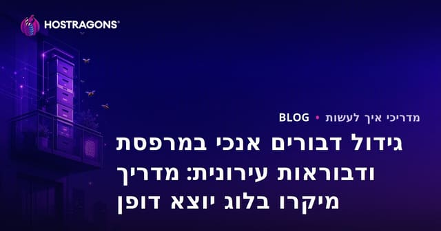 גידול דבורים אנכי במרפסת ודבוראות עירונית: מדריך מיקרו בלוג יוצא דופן