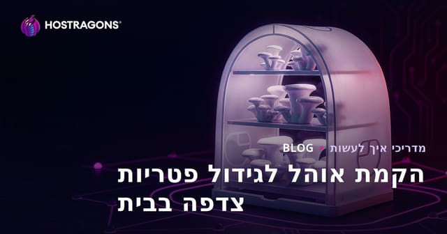 הקמת אוהל לגידול פטריות צדפה בבית: מדריך צעד אחר צעד