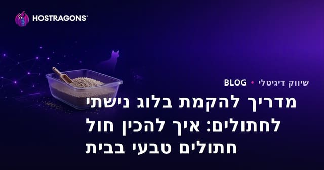 מדריך להקמת בלוג נישתי לחתולים: איך להכין חול חתולים טבעי בבית