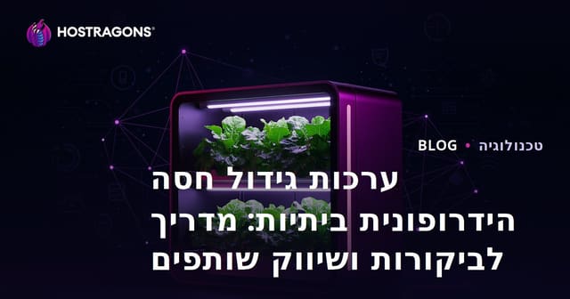 ערכות גידול חסה הידרופונית ביתיות: מדריך לביקורות ושיווק שותפים