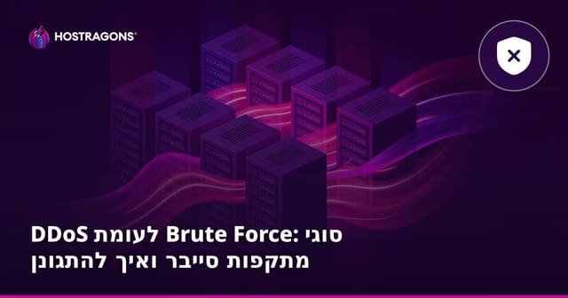 DDoS לעומת Brute Force: סוגי מתקפות סייבר ואיך להתגונן
