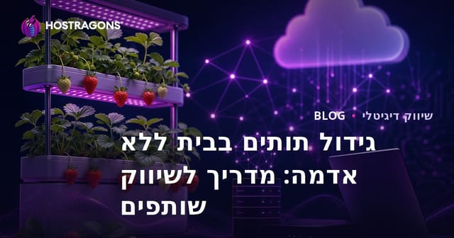 גידול תותים בבית ללא אדמה: מדריך לשיווק שותפים