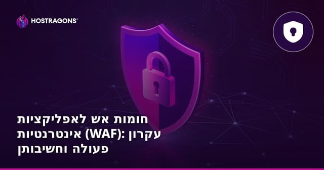 חומות אש לאפליקציות אינטרנטיות (WAF): עקרון פעולה וחשיבותן