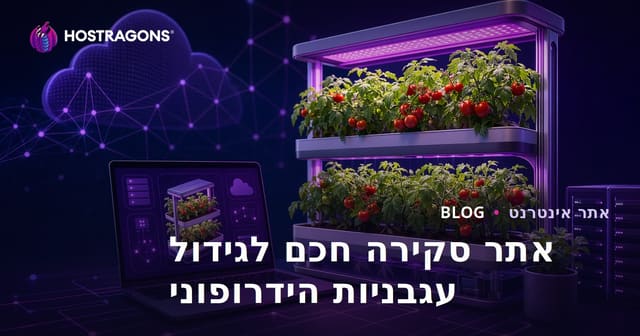 מדריך הקמת אתר ביקורת רק לגידול עגבניות הידרופוניות חכמות בבית