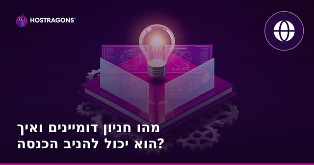 מהו חניון דומיינים ואיך הוא יכול להניב הכנסה?