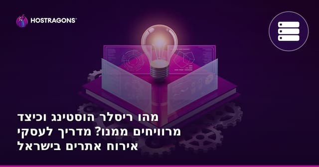 מהו ריסלר הוסטינג וכיצד מרוויחים ממנו? מדריך לעסקי אירוח אתרים בישראל