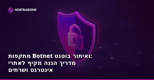 מתקפות Botnet ואיתור בוטנט: מדריך הגנה מקיף לאתרי אינטרנט ושרתים