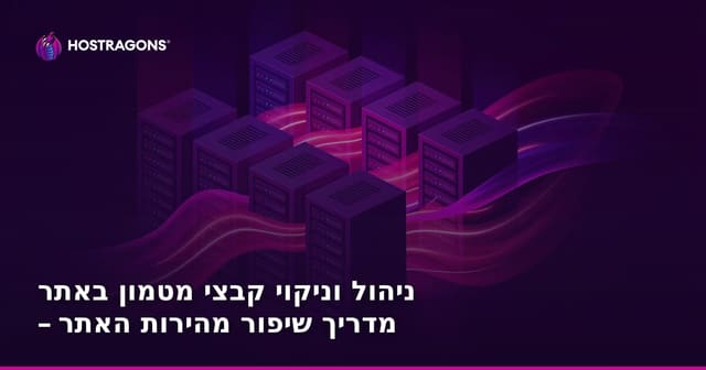 ניהול וניקוי קבצי מטמון באתר – מדריך שיפור מהירות האתר