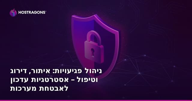 ניהול פגיעויות: איתור, דירוג וטיפול – אסטרטגיות עדכון לאבטחת מערכות
