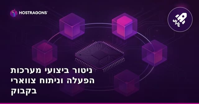 ניטור ביצועי מערכות הפעלה וניתוח צווארי בקבוק