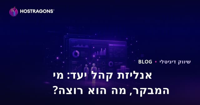 ניתוח קהל היעד: מי המבקרים באתר שלכם ומה הם רוצים?