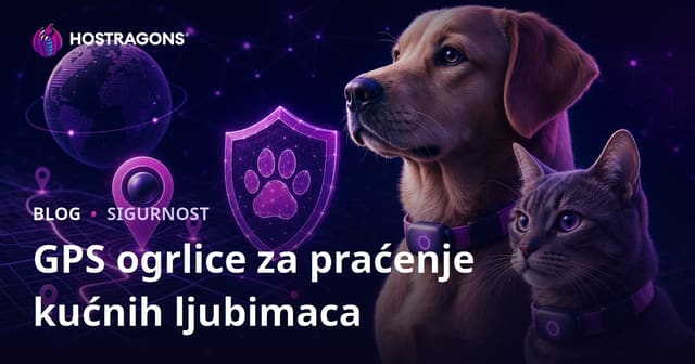 GPS Praćenje Ogrlice za Kućne Ljubimce: Vodič za Sigurnost i Učinkovitost
