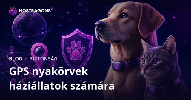 Csak háziállatoknak szánt GPS nyakörvek biztonsági blogja – részletes tesztek és vásárlási tanácsok