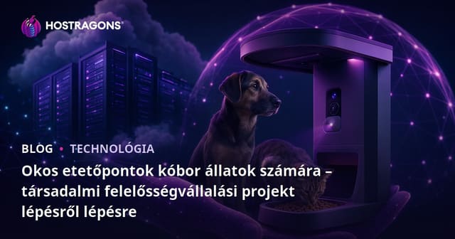 Okos etetőpontok kóbor állatok számára – társadalmi felelősségvállalási projekt lépésről lépésre