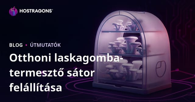 Otthoni laskagomba termesztő sátor kialakítása lépésről lépésre – teljes útmutató